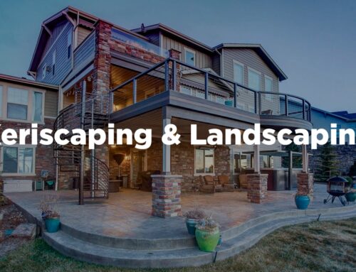 Xeriscaping & Landscaping